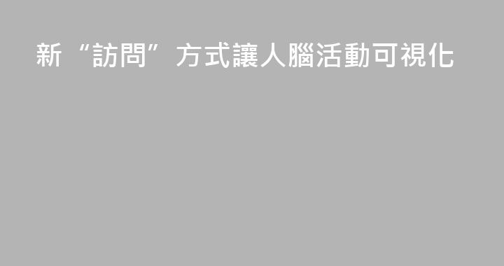 新“訪問”方式讓人腦活動可視化