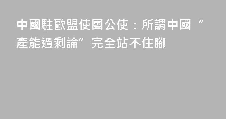 中國駐歐盟使團公使：所謂中國“產能過剩論”完全站不住腳