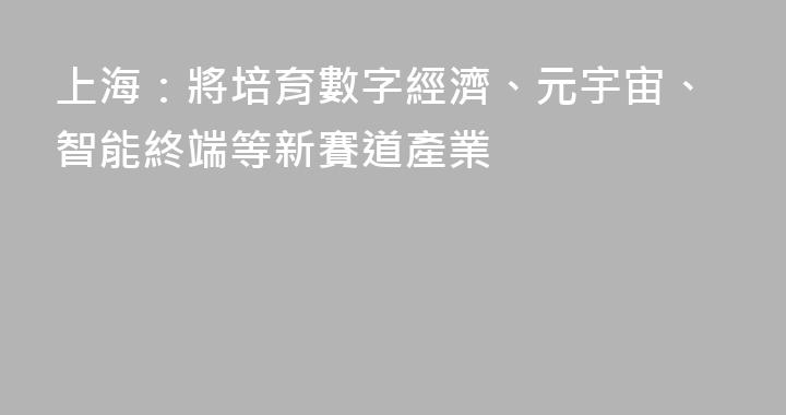 上海：將培育數字經濟、元宇宙、智能終端等新賽道產業