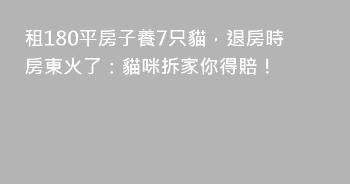 租180平房子養7只貓，退房時房東火了：貓咪拆家你得賠！