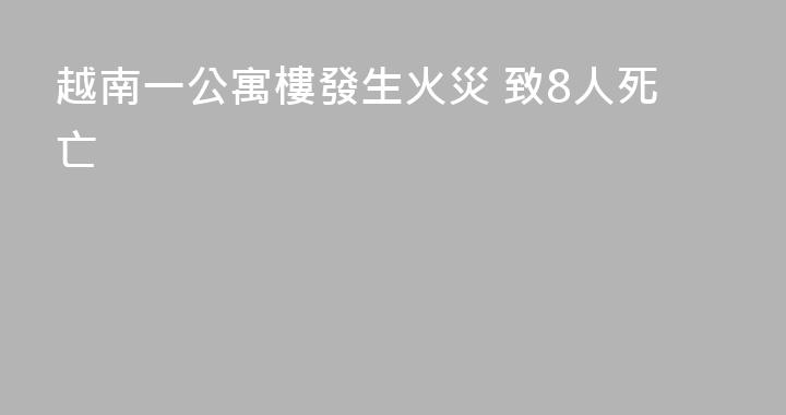 越南一公寓樓發生火災 致8人死亡
