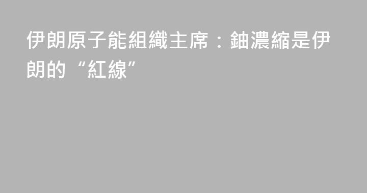 伊朗原子能組織主席：鈾濃縮是伊朗的“紅線”