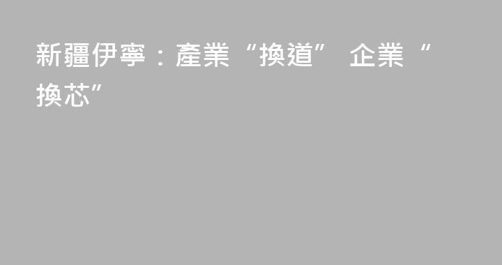 新疆伊寧：產業“換道” 企業“換芯”