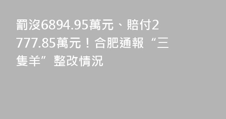 罰沒6894.95萬元、賠付2777.85萬元！合肥通報“三隻羊”整改情況