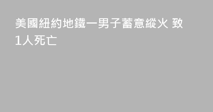 美國紐約地鐵一男子蓄意縱火 致1人死亡