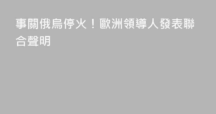 事關俄烏停火！歐洲領導人發表聯合聲明