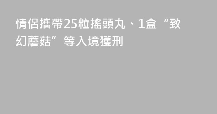 情侶攜帶25粒搖頭丸、1盒“致幻蘑菇”等入境獲刑