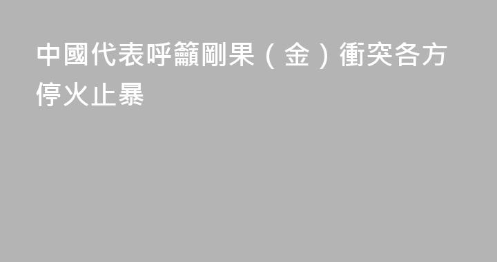 中國代表呼籲剛果（金）衝突各方停火止暴
