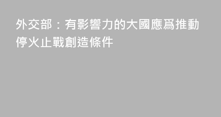 外交部：有影響力的大國應爲推動停火止戰創造條件