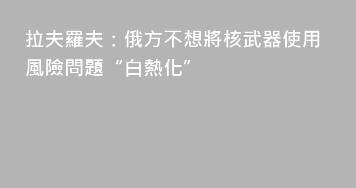 拉夫羅夫：俄方不想將核武器使用風險問題“白熱化”