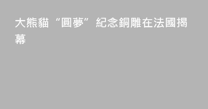 大熊貓“圓夢”紀念銅雕在法國揭幕