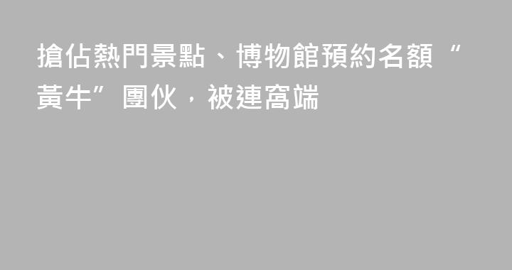 搶佔熱門景點、博物館預約名額“黃牛”團伙，被連窩端