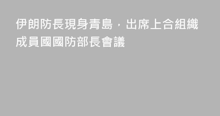伊朗防長現身青島，出席上合組織成員國國防部長會議