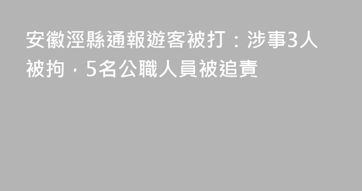 安徽涇縣通報遊客被打：涉事3人被拘，5名公職人員被追責