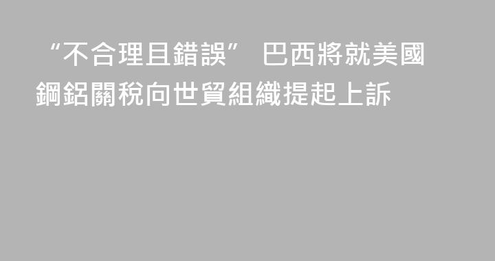 “不合理且錯誤” 巴西將就美國鋼鋁關稅向世貿組織提起上訴