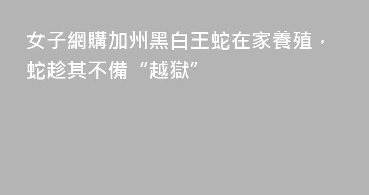 女子網購加州黑白王蛇在家養殖，蛇趁其不備“越獄”