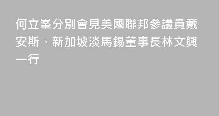 何立峯分別會見美國聯邦參議員戴安斯、新加坡淡馬錫董事長林文興一行