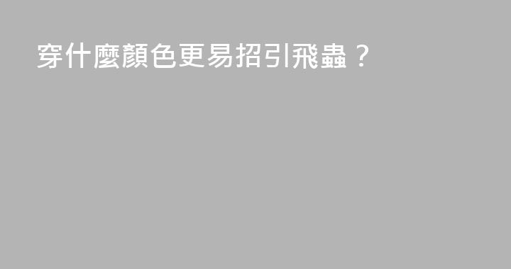 穿什麼顏色更易招引飛蟲？