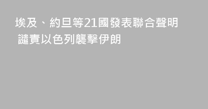 埃及、約旦等21國發表聯合聲明 譴責以色列襲擊伊朗