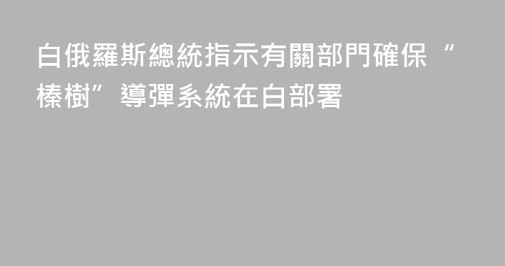 白俄羅斯總統指示有關部門確保“榛樹”導彈系統在白部署