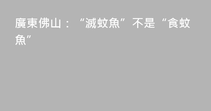 廣東佛山：“滅蚊魚”不是“食蚊魚”