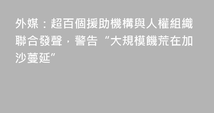 外媒：超百個援助機構與人權組織聯合發聲，警告“大規模饑荒在加沙蔓延”