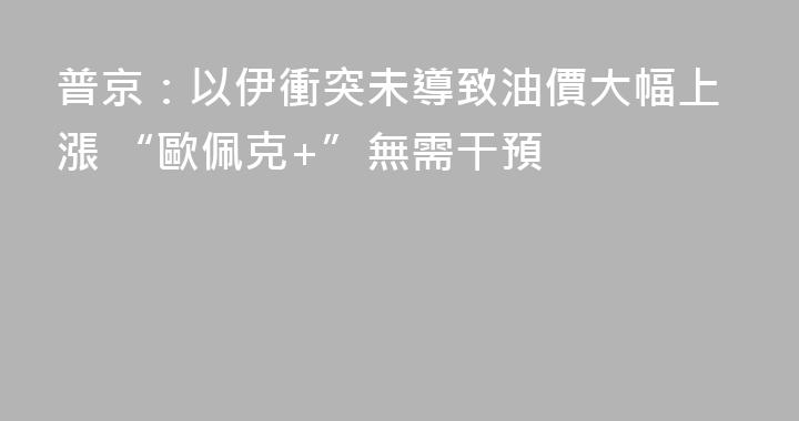 普京：以伊衝突未導致油價大幅上漲 “歐佩克+”無需干預