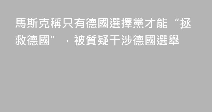 馬斯克稱只有德國選擇黨才能“拯救德國”，被質疑干涉德國選舉