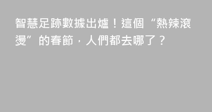 智慧足跡數據出爐！這個“熱辣滾燙”的春節，人們都去哪了？