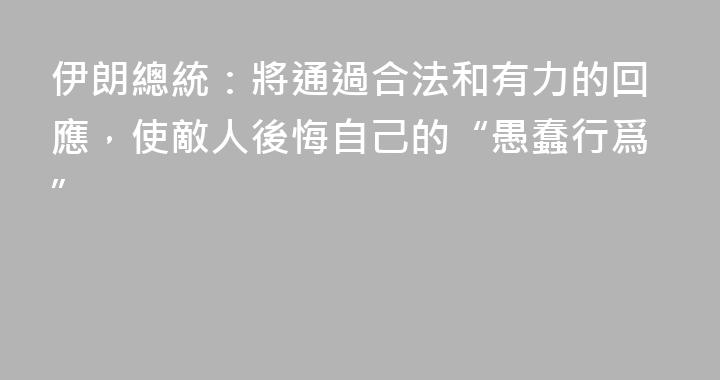 伊朗總統：將通過合法和有力的回應，使敵人後悔自己的“愚蠢行爲”
