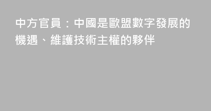 中方官員：中國是歐盟數字發展的機遇、維護技術主權的夥伴