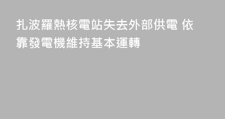 扎波羅熱核電站失去外部供電 依靠發電機維持基本運轉