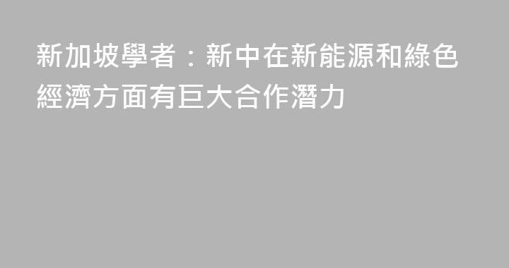 新加坡學者：新中在新能源和綠色經濟方面有巨大合作潛力