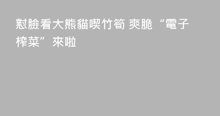 懟臉看大熊貓喫竹筍 爽脆“電子榨菜”來啦