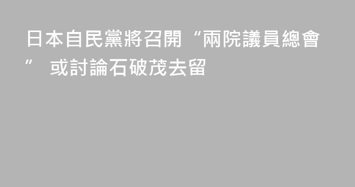 日本自民黨將召開“兩院議員總會” 或討論石破茂去留