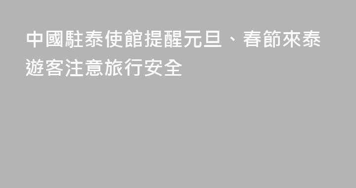 中國駐泰使館提醒元旦、春節來泰遊客注意旅行安全