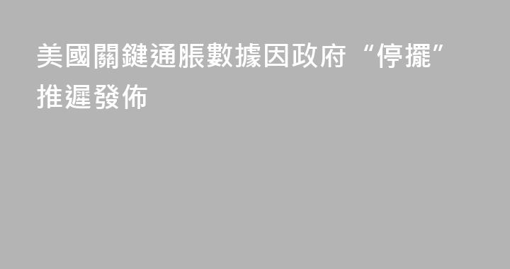 美國關鍵通脹數據因政府“停擺”推遲發佈