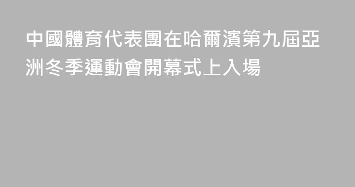 中國體育代表團在哈爾濱第九屆亞洲冬季運動會開幕式上入場