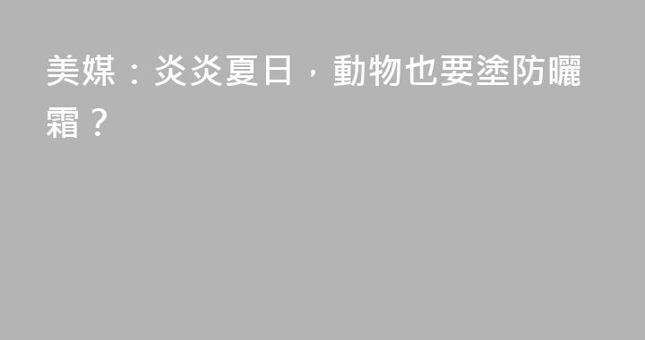 美媒：炎炎夏日，動物也要塗防曬霜？
