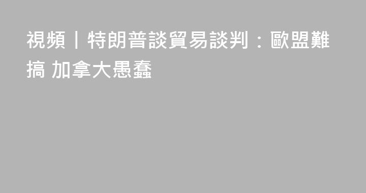 視頻丨特朗普談貿易談判：歐盟難搞 加拿大愚蠢