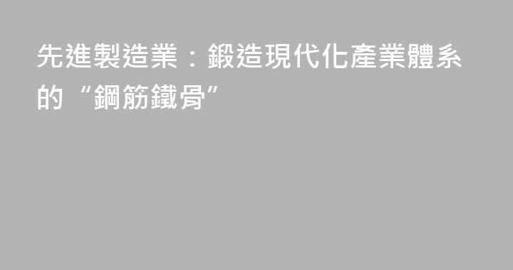 先進製造業：鍛造現代化產業體系的“鋼筋鐵骨”