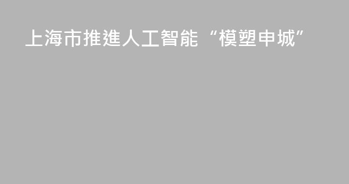 上海市推進人工智能“模塑申城”