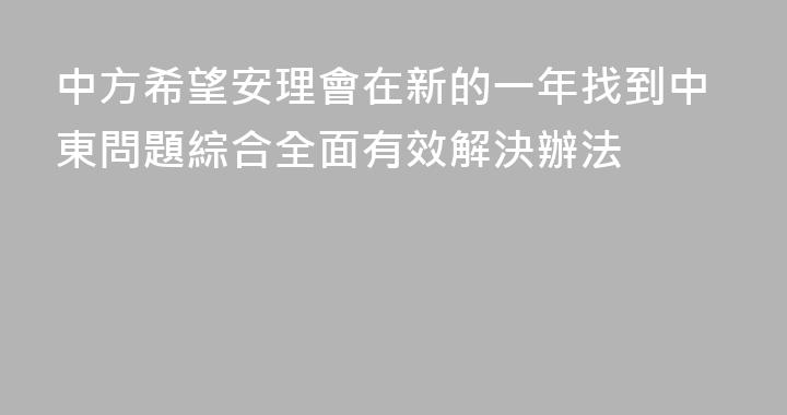 中方希望安理會在新的一年找到中東問題綜合全面有效解決辦法