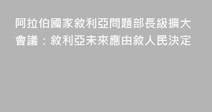 阿拉伯國家敘利亞問題部長級擴大會議：敘利亞未來應由敘人民決定