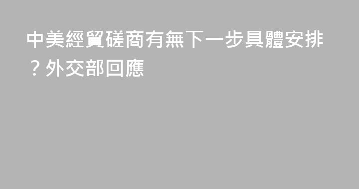 中美經貿磋商有無下一步具體安排？外交部回應