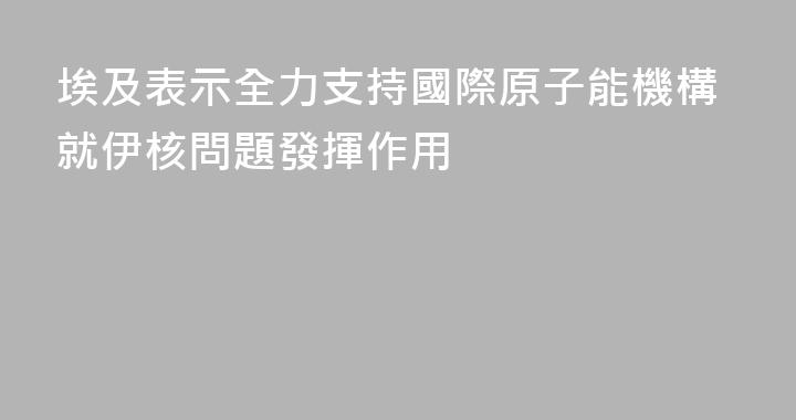埃及表示全力支持國際原子能機構就伊核問題發揮作用