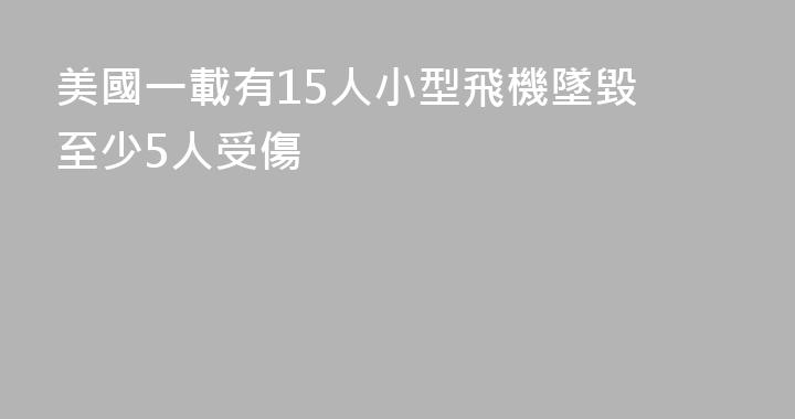 美國一載有15人小型飛機墜毀 至少5人受傷