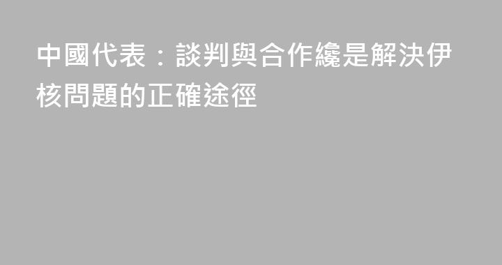 中國代表：談判與合作纔是解決伊核問題的正確途徑