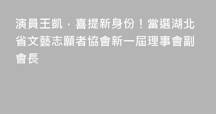 演員王凱，喜提新身份！當選湖北省文藝志願者協會新一屆理事會副會長