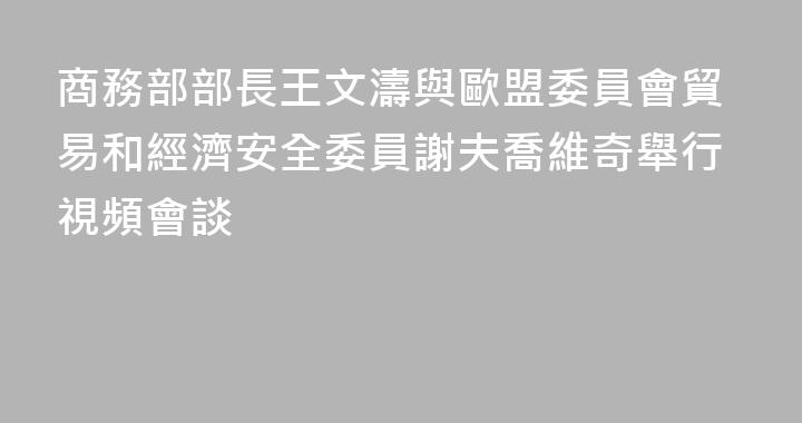 商務部部長王文濤與歐盟委員會貿易和經濟安全委員謝夫喬維奇舉行視頻會談